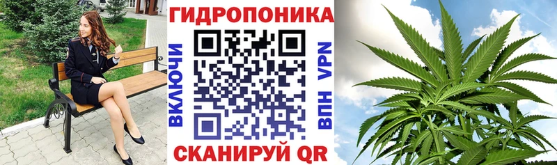 Канабис планчик Островной